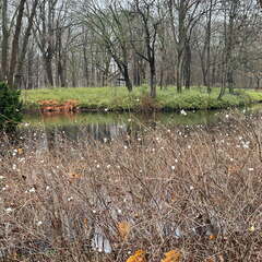 24-12-08 12-07-02 1764